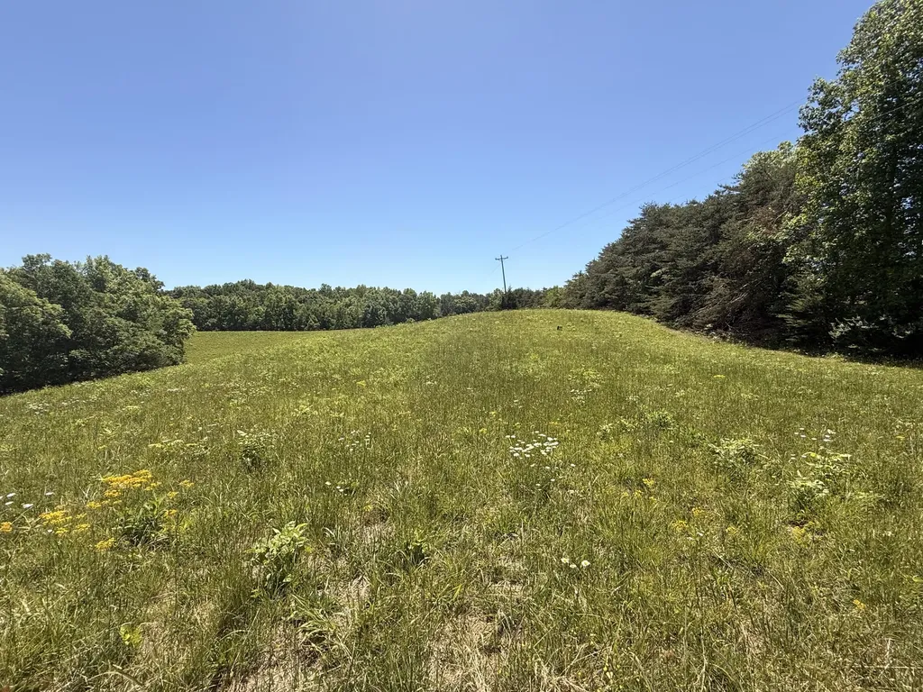 Tract 4 Highway 196 Nancy KY 42544