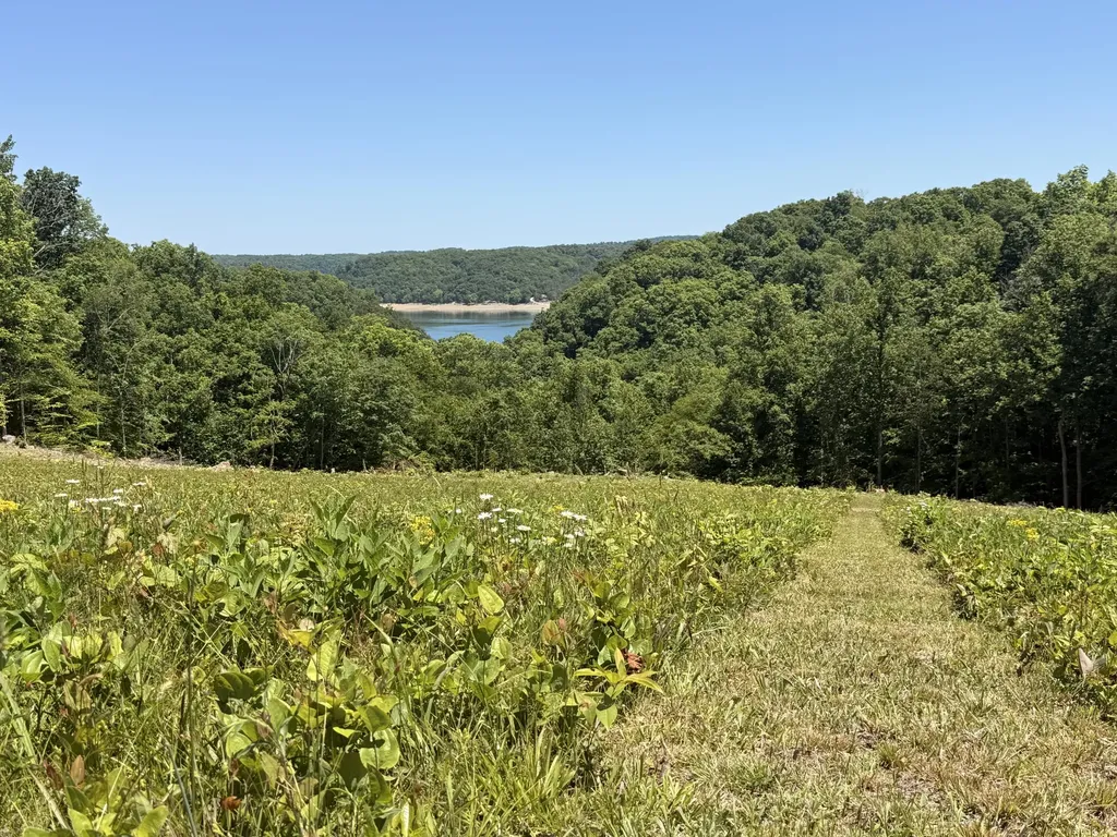 Tract 4 Highway 196 Nancy KY 42544
