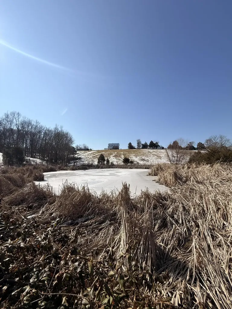 2066 Mudsock Road Hillsboro KY 41049