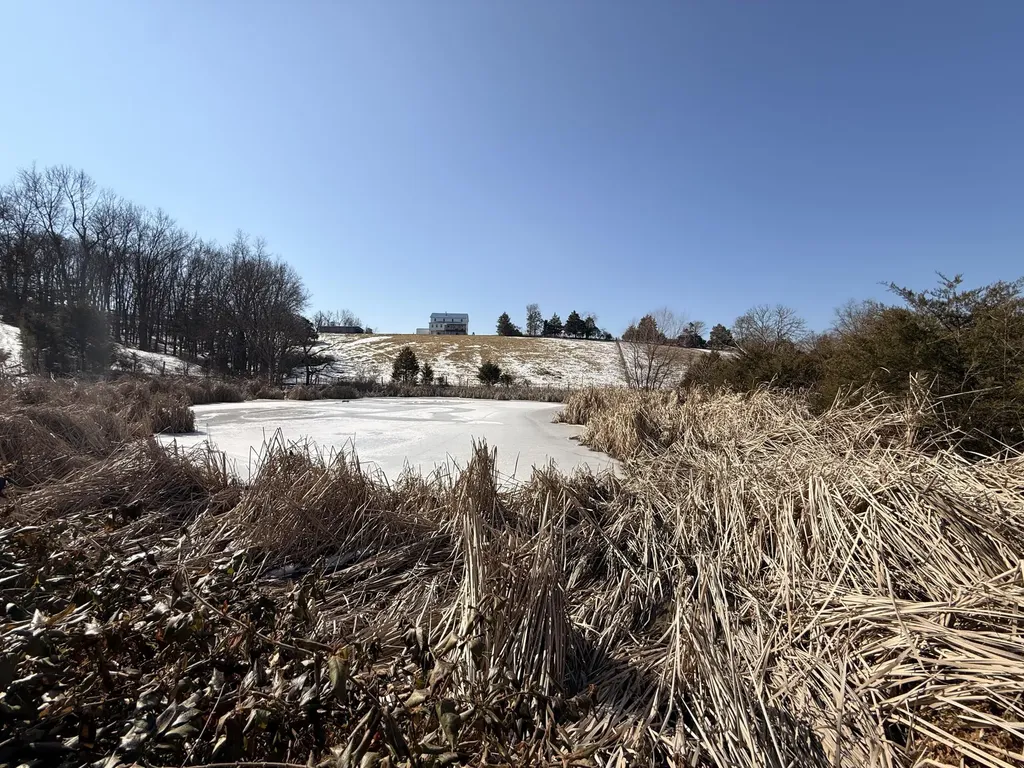 2066 Mudsock Road Hillsboro KY 41049