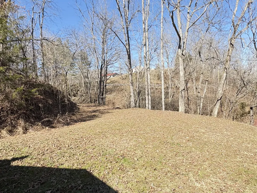8209 Ky-11 Green Road KY 40946