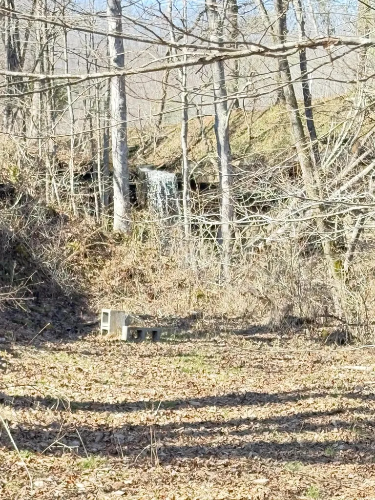 8209 Ky-11 Green Road KY 40946