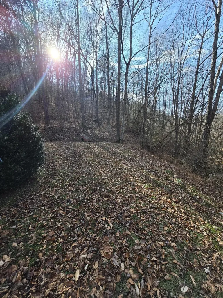 60 Dorothy Lane Hyden KY 41749