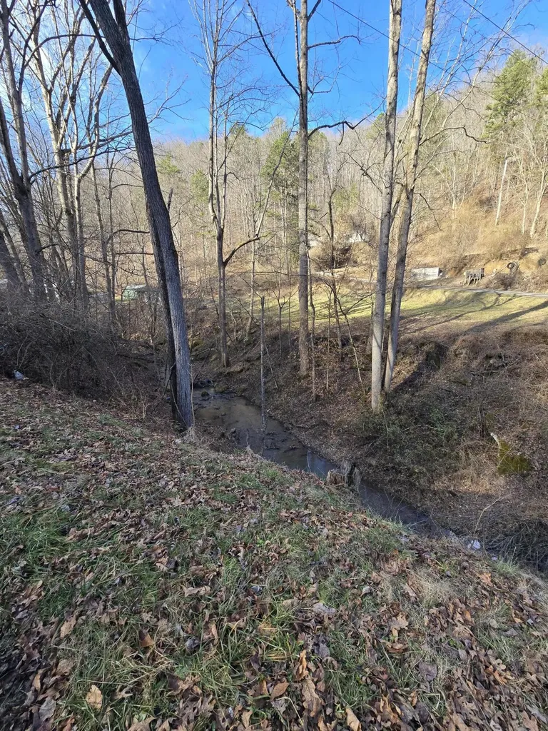 60 Dorothy Lane Hyden KY 41749