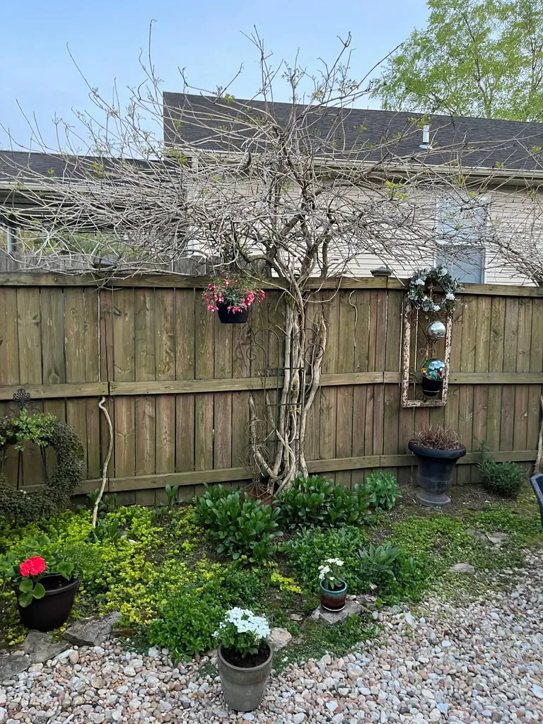 4700 Orlando Court Lexington KY 40515