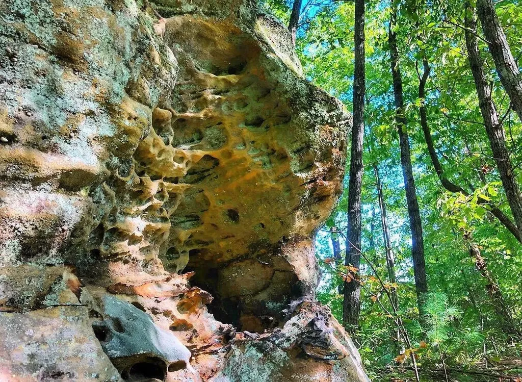 1030 Nada Tunnel Road Stanton KY 40380