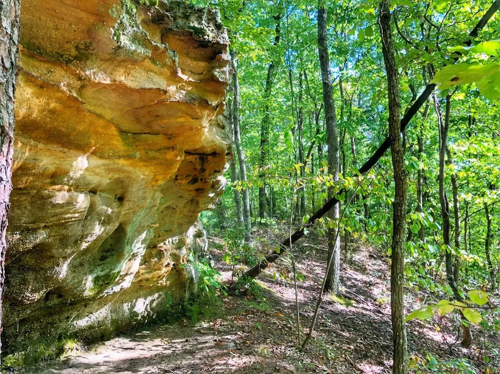 1030 Nada Tunnel Road Stanton KY 40380