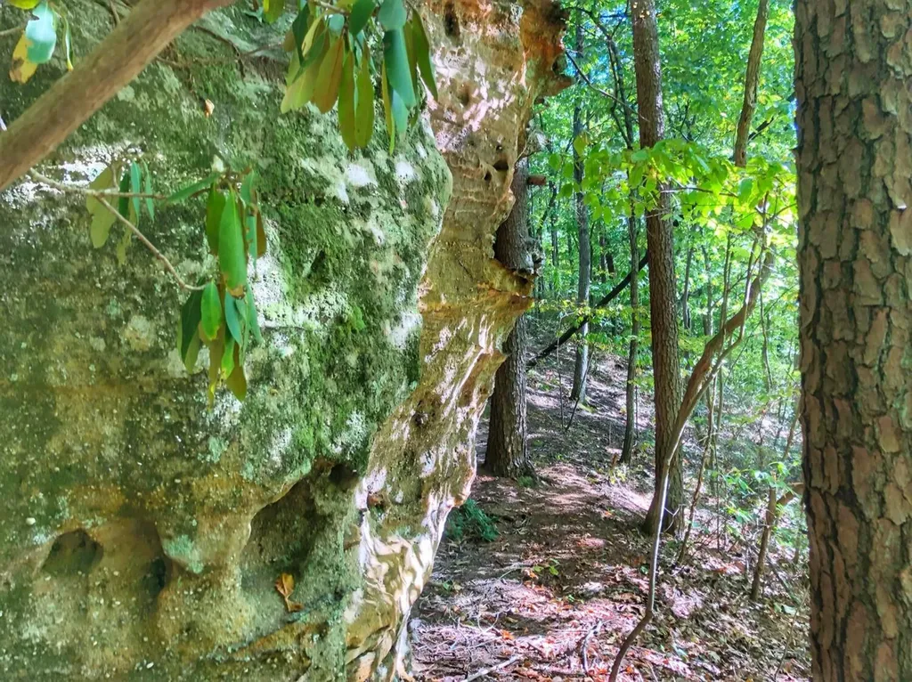 1030 Nada Tunnel Road Stanton KY 40380