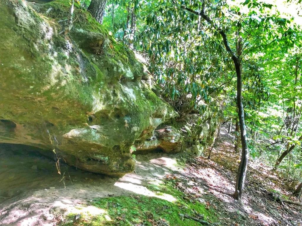 1030 Nada Tunnel Road Stanton KY 40380