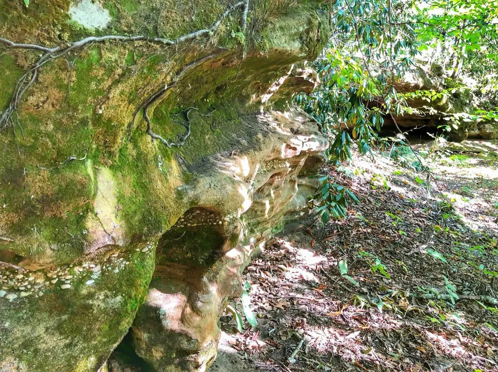 1030 Nada Tunnel Road Stanton KY 40380