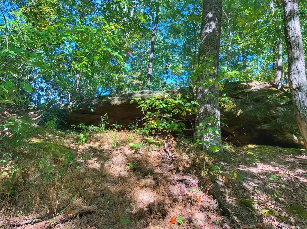 1030 Nada Tunnel Road Stanton KY 40380
