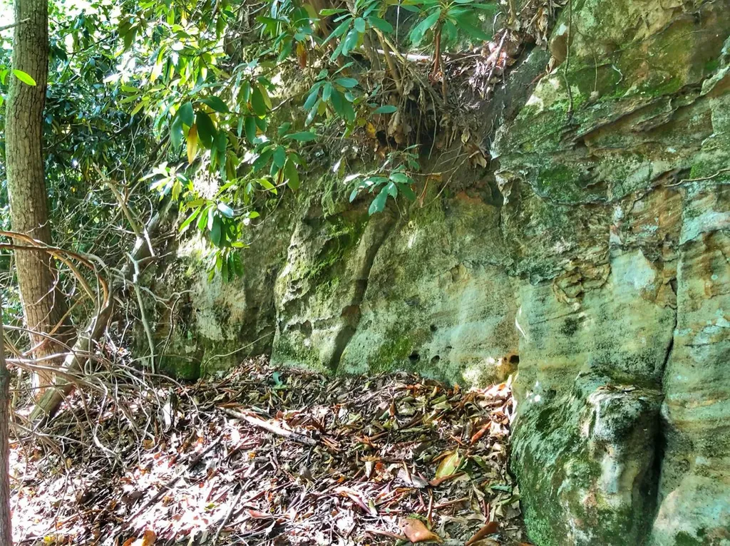 1030 Nada Tunnel Road Stanton KY 40380