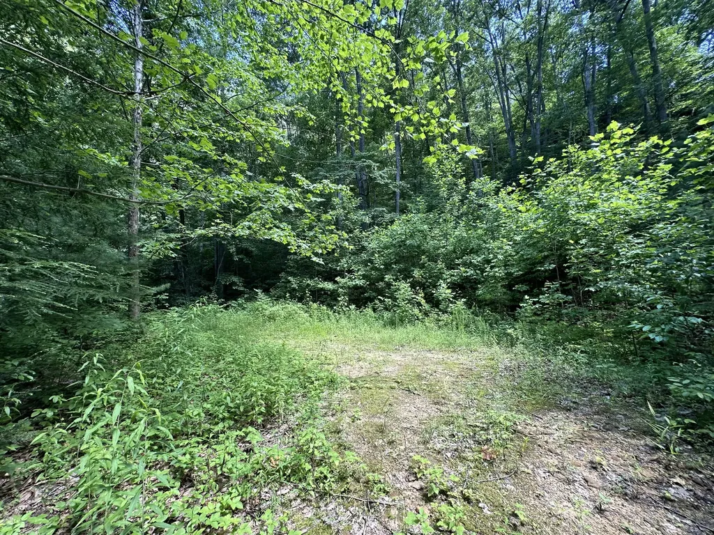 1030 Nada Tunnel Road Stanton KY 40380