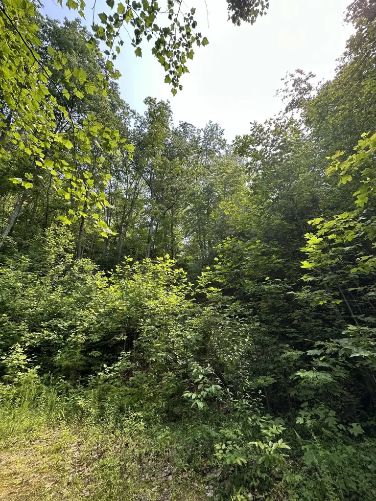 1030 Nada Tunnel Road Stanton KY 40380