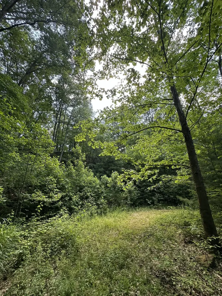1030 Nada Tunnel Road Stanton KY 40380