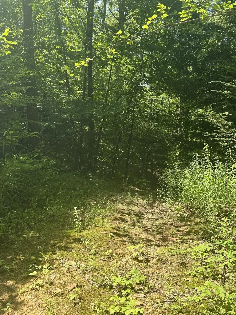 1030 Nada Tunnel Road Stanton KY 40380