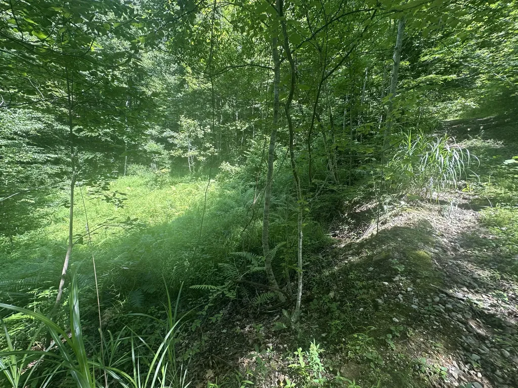 1030 Nada Tunnel Road Stanton KY 40380