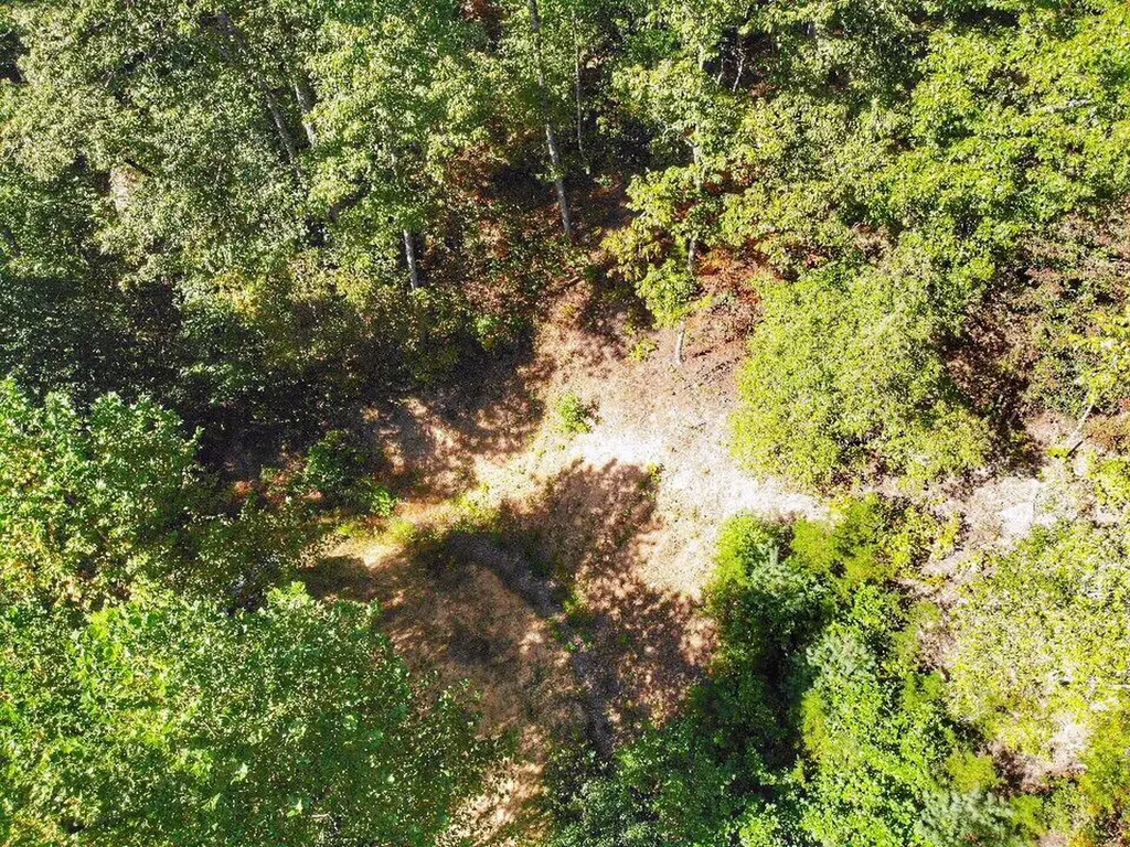 1030 Nada Tunnel Road Stanton KY 40380