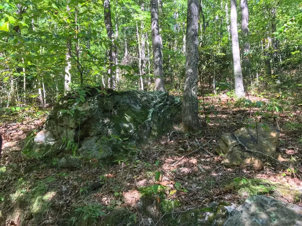 1030 Nada Tunnel Road Stanton KY 40380