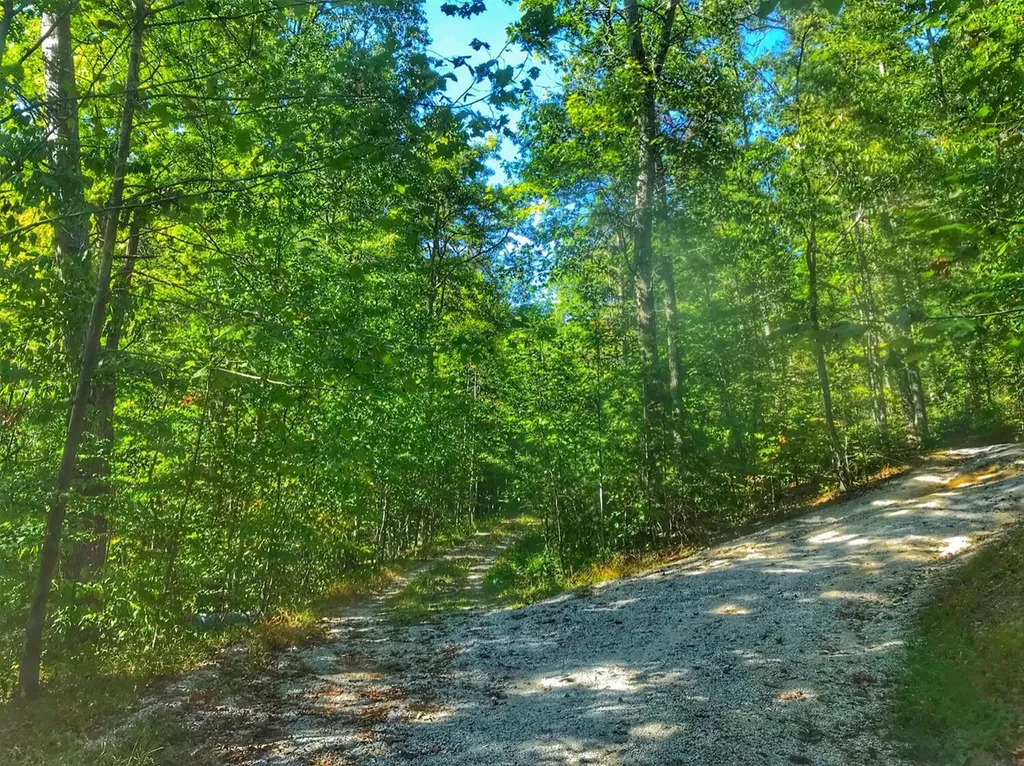 1030 Nada Tunnel Road Stanton KY 40380