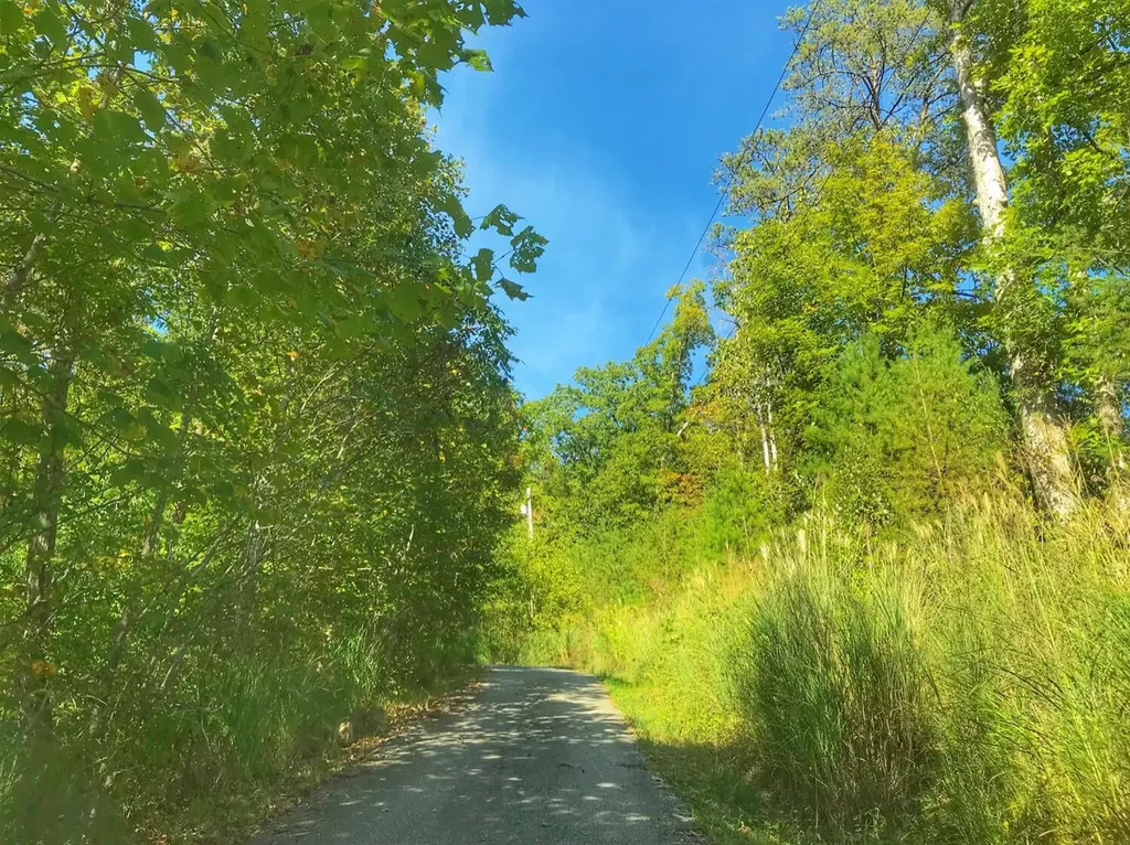 1030 Nada Tunnel Road Stanton KY 40380