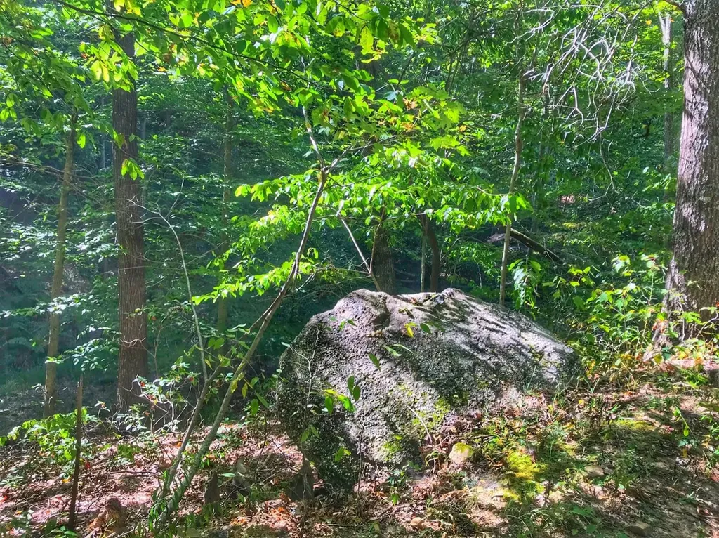 1030 Nada Tunnel Road Stanton KY 40380