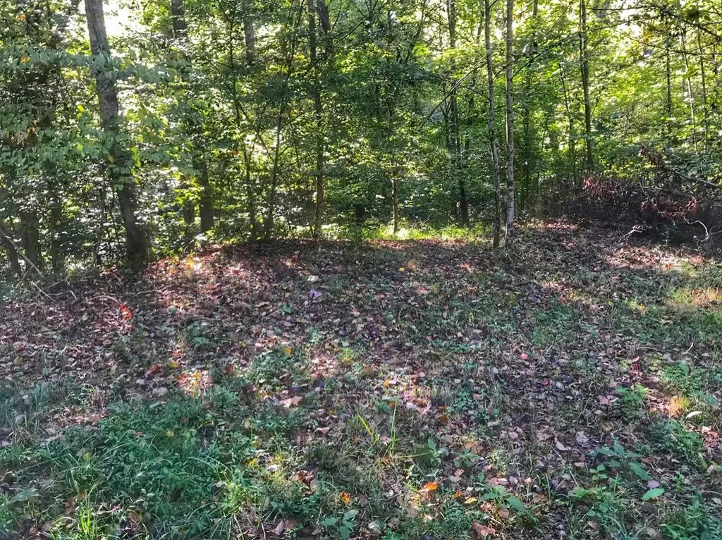 1030 Nada Tunnel Road Stanton KY 40380