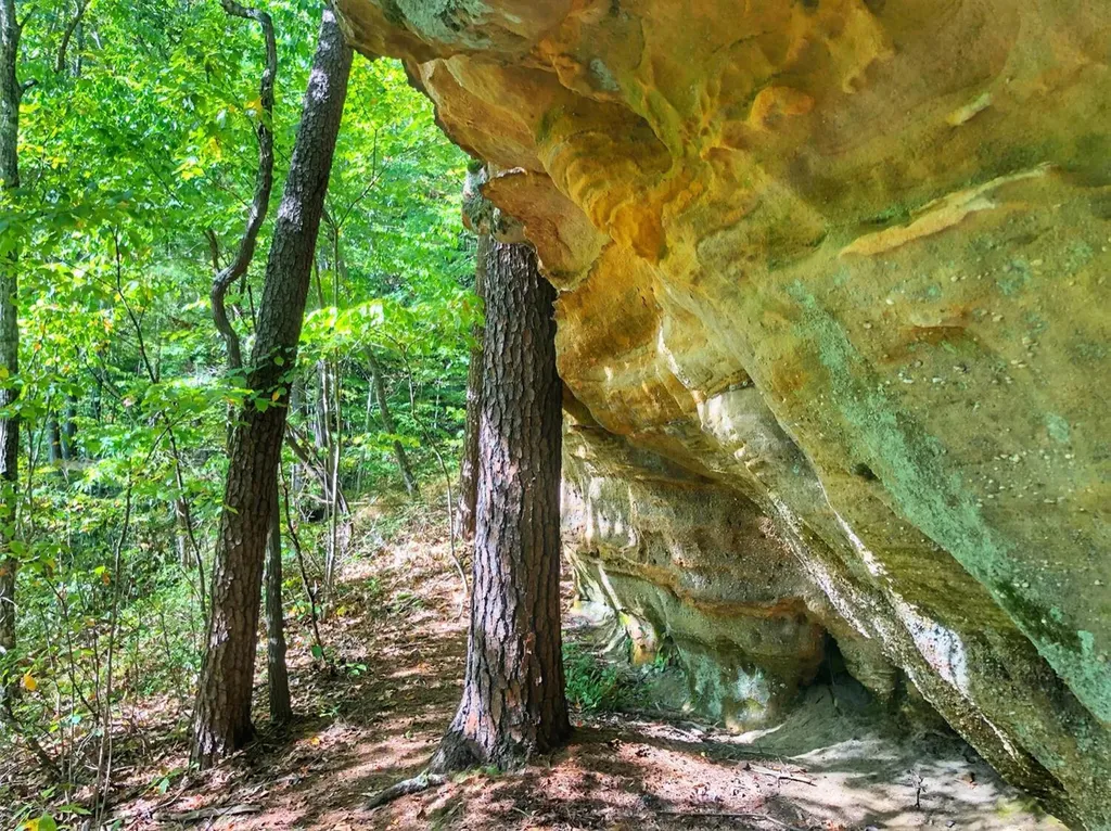 1030 Nada Tunnel Road Stanton KY 40380