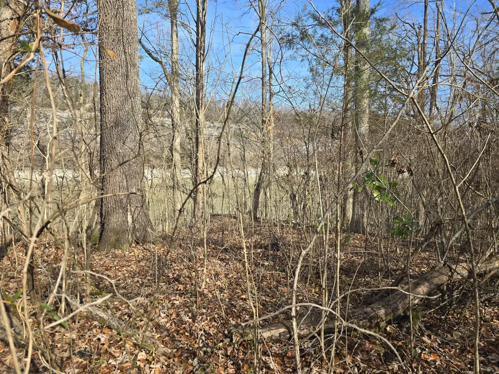386 E Lakeshore Drive Burnside KY 42519