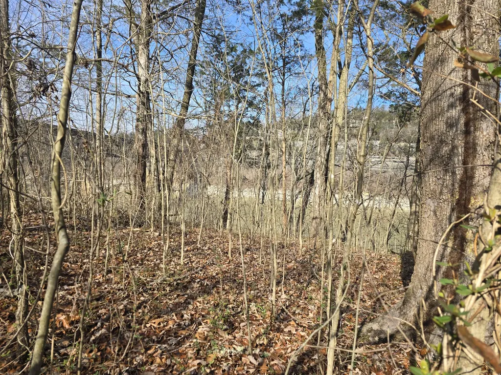 386 E Lakeshore Drive Burnside KY 42519