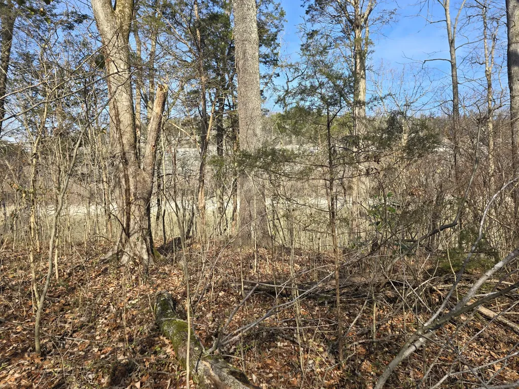 386 E Lakeshore Drive Burnside KY 42519