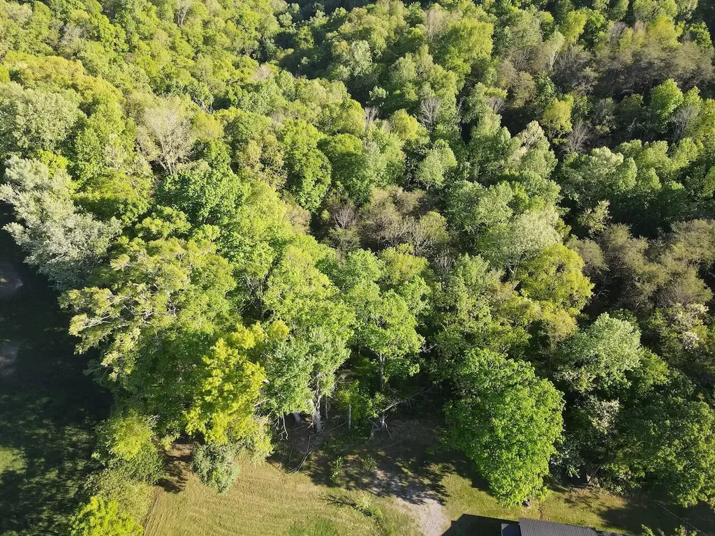 3331 Highway 1058 Jamestown KY 42629