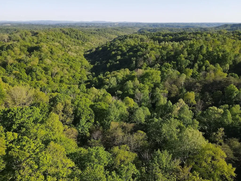 3331 Highway 1058 Jamestown KY 42629