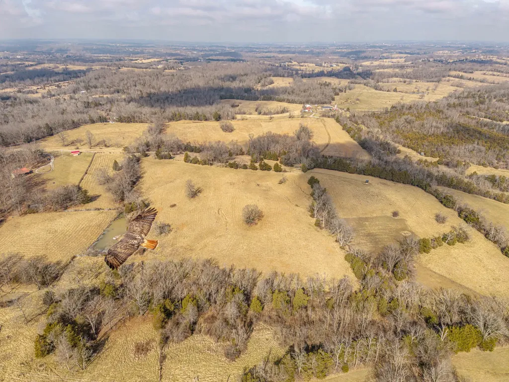 Lot 2 Delaney Road Delaney Road Lawrenceburg KY 40342
