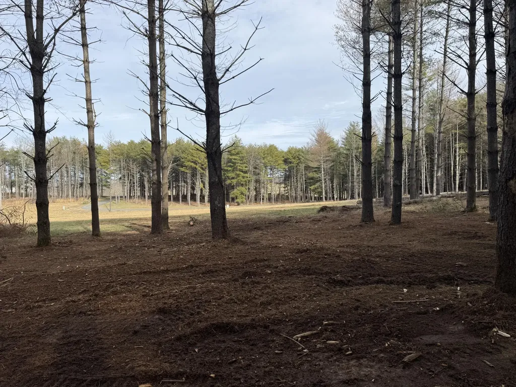 Lot 95 Lakeshore Drive Russell Springs KY 42642