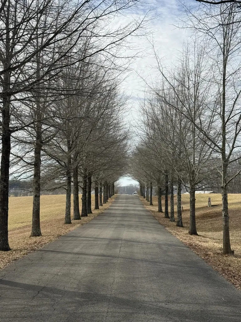 Lot 95 Lakeshore Drive Russell Springs KY 42642