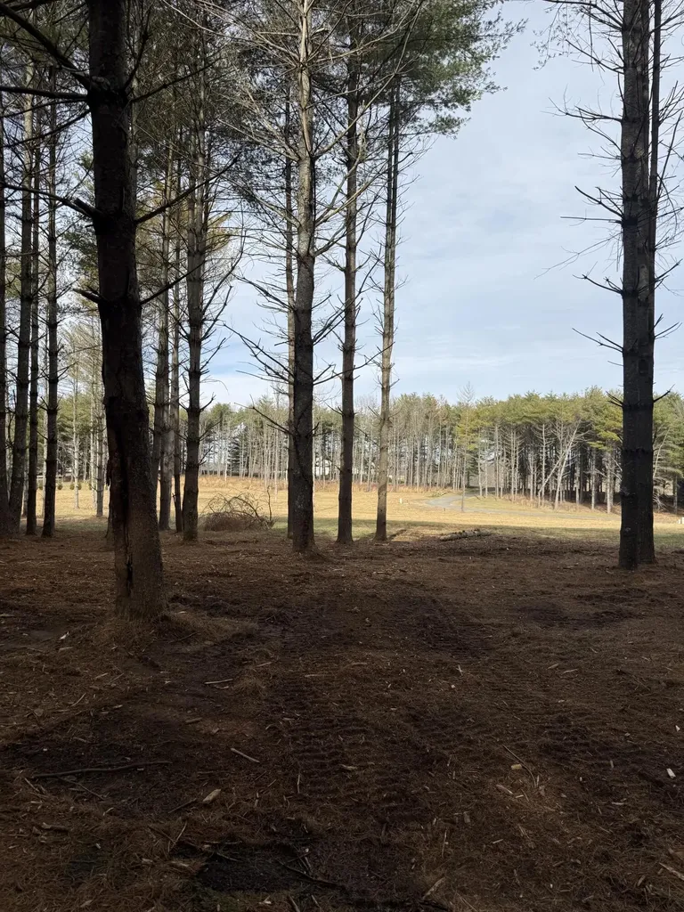 Lot 95 Lakeshore Drive Russell Springs KY 42642