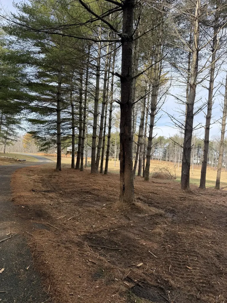 Lot 95 Lakeshore Drive Russell Springs KY 42642