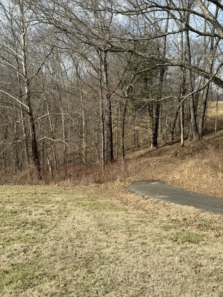 Lot 95 Lakeshore Drive Russell Springs KY 42642