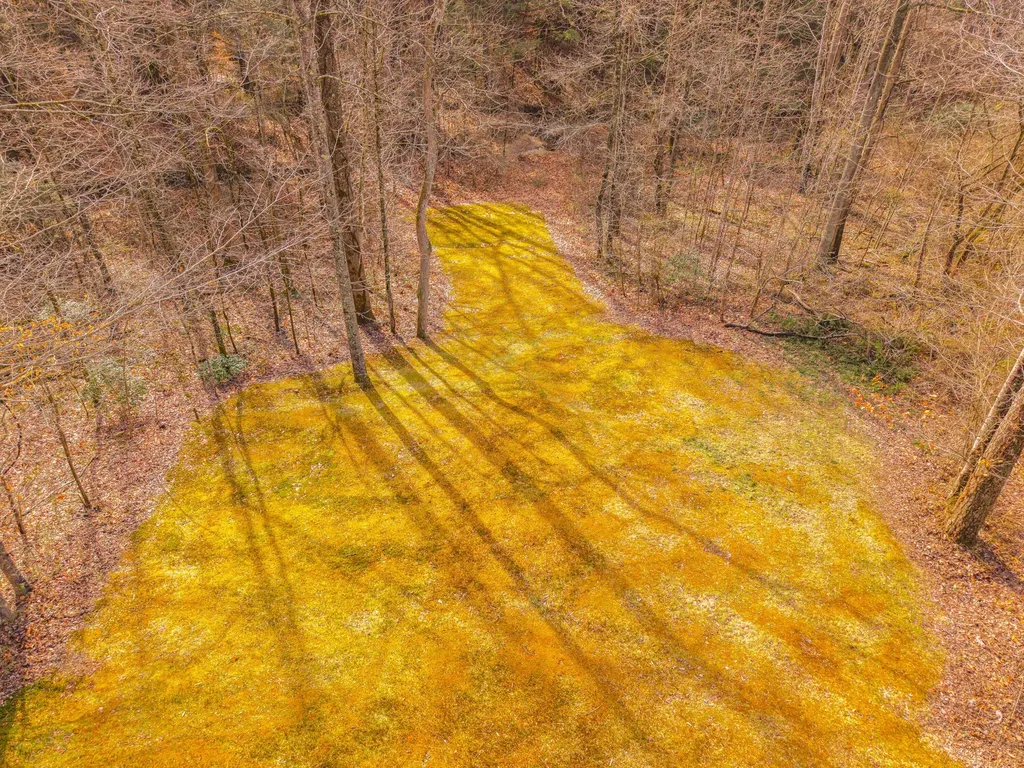135 Methodist Drive Whitley City KY 42653