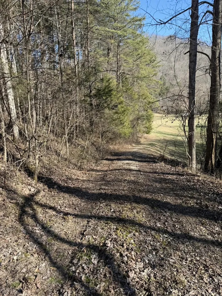 91 Quinton Callahan Road Booneville KY 41314