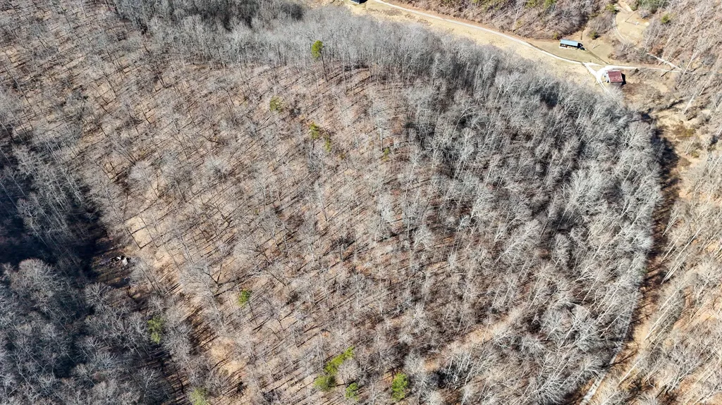 9999 Turkey Hollow Road Oneida KY 40972