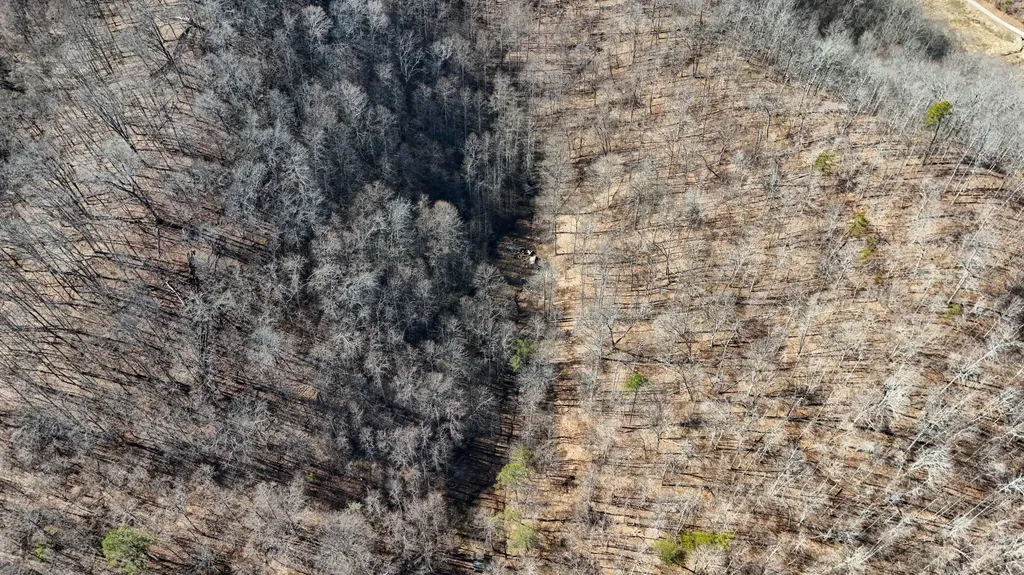 9999 Turkey Hollow Road Oneida KY 40972