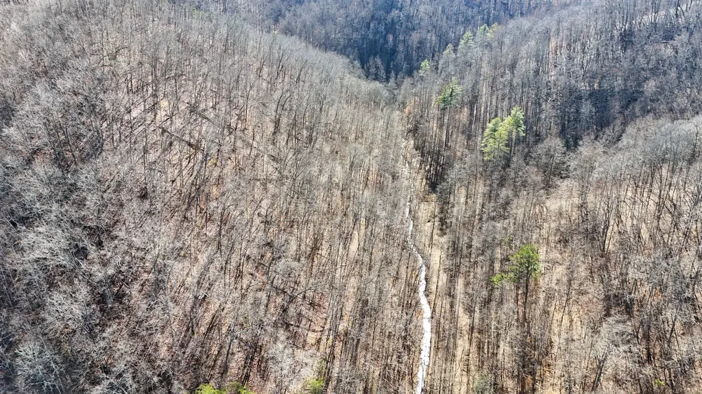9999 Turkey Hollow Road Oneida KY 40972
