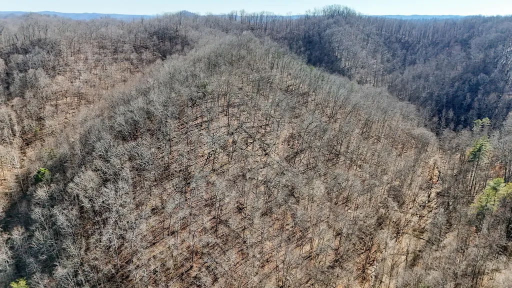 9999 Turkey Hollow Road Oneida KY 40972