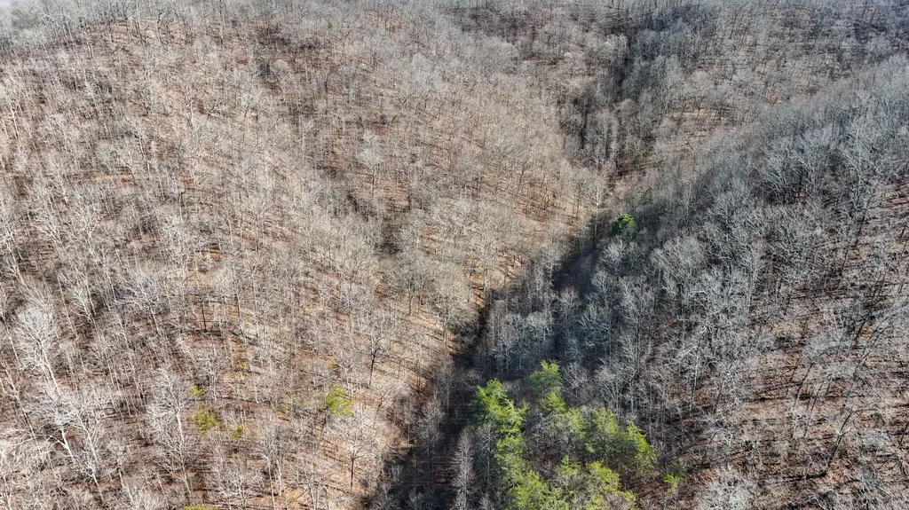 9999 Turkey Hollow Road Oneida KY 40972