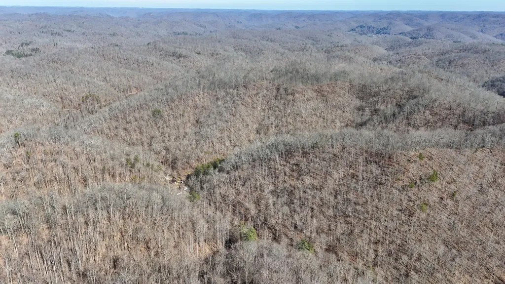 9999 Turkey Hollow Road Oneida KY 40972