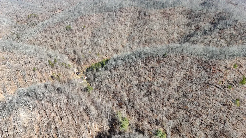 9999 Turkey Hollow Road Oneida KY 40972