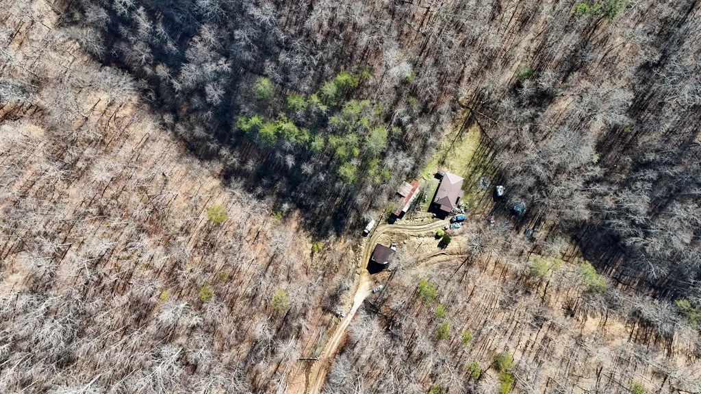 9999 Turkey Hollow Road Oneida KY 40972
