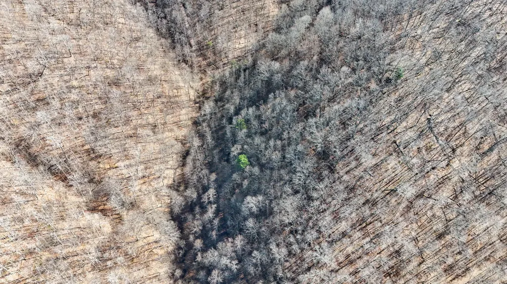 9999 Turkey Hollow Road Oneida KY 40972